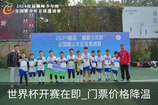 世界杯开赛在即 门票价格降温